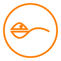 Icon 1